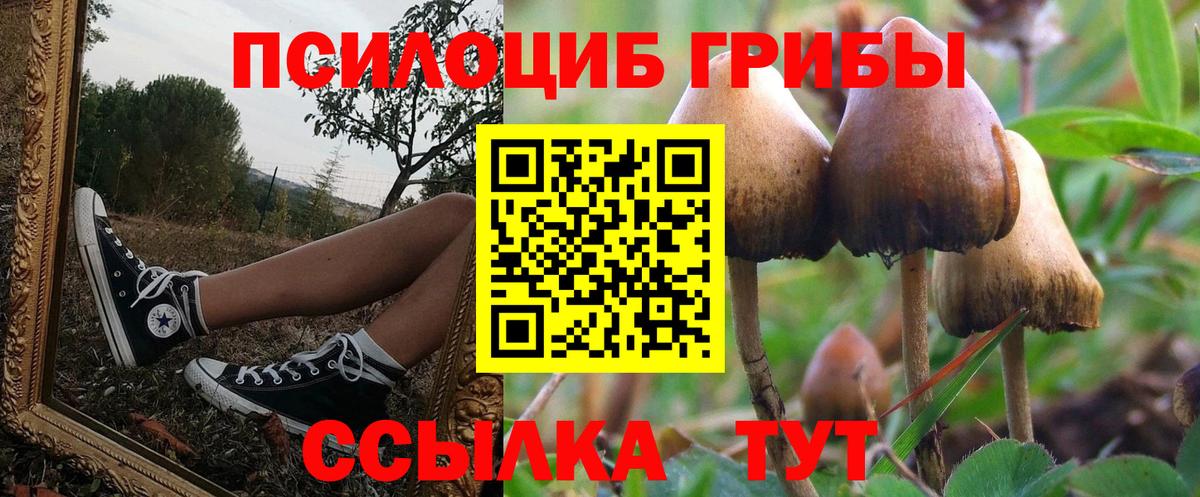 Галлюциногенные грибы MAGIC MUSHROOMS  Галлюциногенные грибы мицелий  Луга  Вход с VPN 