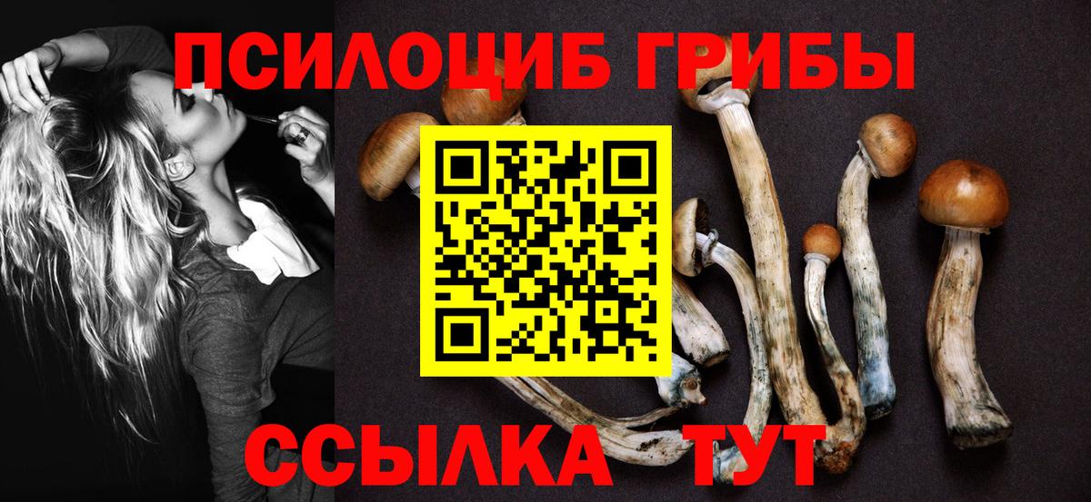 Галлюциногенные грибы MAGIC MUSHROOMS Луга